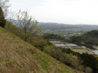 IMGP1116