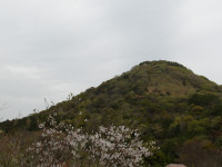 IMGP1122