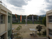 IMGP1406