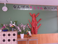 IMGP1428