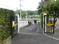 IMGP0874