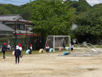 IMGP0923