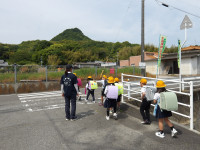 IMGP2494
