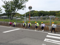 IMGP2496