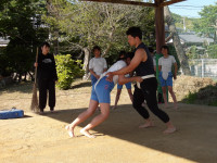 IMGP2617