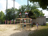 IMGP2636