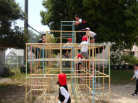 IMGP2642