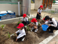 IMGP2024
