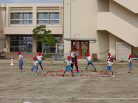 IMGP2745