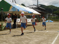 IMGP2781