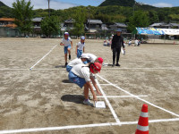 IMGP2811