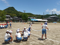 IMGP2815