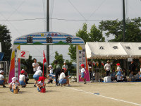 IMGP2271