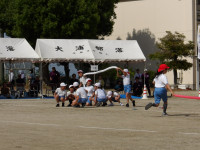 IMGP2284
