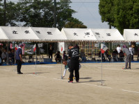 IMGP2302