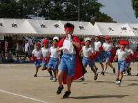 IMGP2324
