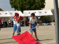 IMGP2330