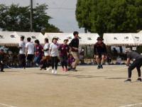 IMGP2389