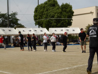 IMGP2393