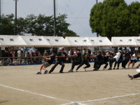 IMGP2412