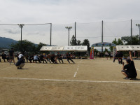 IMGP2422