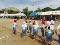 IMGP2436