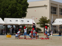 IMGP2445