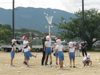 IMGP2451