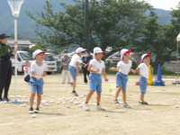 IMGP2453