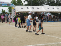 IMGP2499