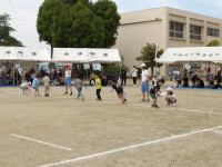 IMGP2501