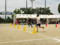 IMGP2509