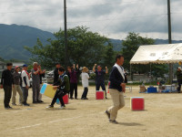 IMGP2517