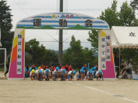 IMGP2545