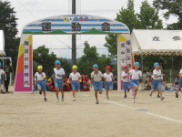 IMGP2546