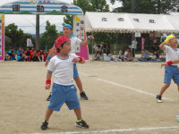 IMGP2568
