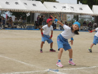 IMGP2550