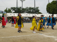 IMGP2581