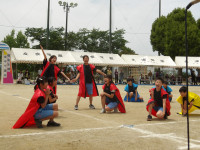 IMGP2585