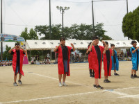 IMGP2589