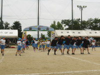 IMGP2642