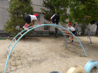 IMGP2737