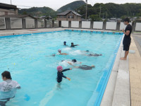 IMGP3481