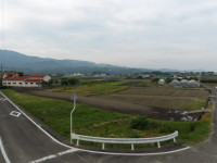 IMGP1424