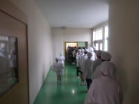 IMGP3270