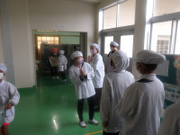 IMGP3271