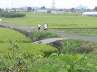 IMGP5150