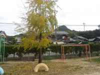 IMGP5154