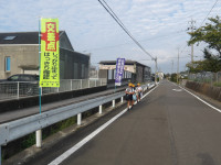 IMGP5219