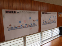 IMGP5320